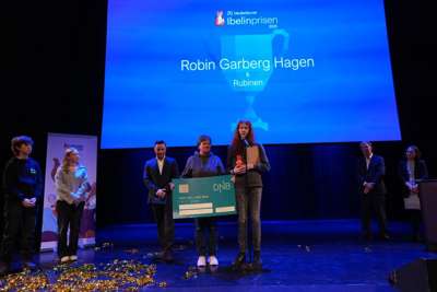 Sju mennesker på en scene foran en blå sttorskjerm med Ibelinprisen med store bokstaver og logoen som er en rød rev.