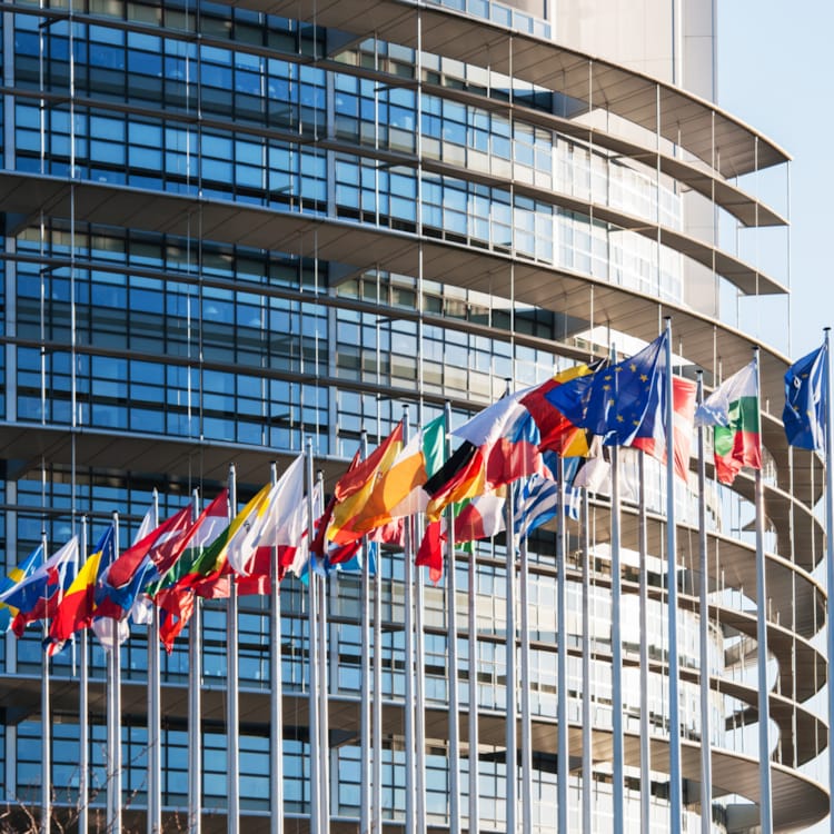 Flags representing different european countries. Photo: Mostphotos